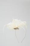 Wallis Feather And Flower Fascinator thumbnail 3