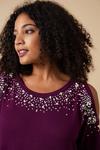Wallis Curve Berry Embellished Cold Shoulder Tunic thumbnail 4
