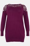 Wallis Curve Berry Embellished Cold Shoulder Tunic thumbnail 5