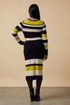 Wallis Multi Striped Crew Neck Knitted Dress thumbnail 3