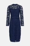 Wallis Buttoned Lace Belted Dress thumbnail 5