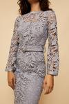 Wallis Buttoned Lace Belted Dress thumbnail 4