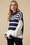 Wallis Ivory Cable Striped High Neck Jumper thumbnail 1
