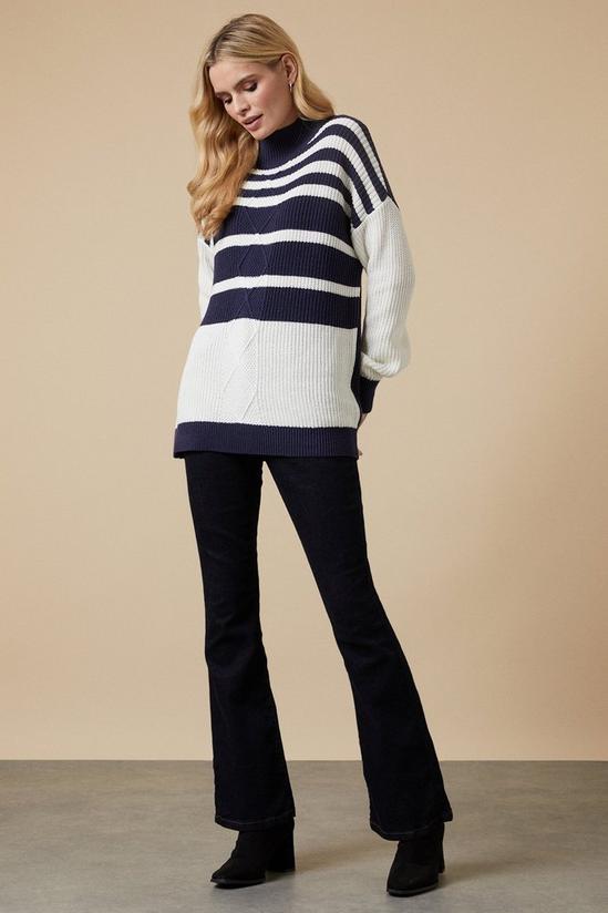 Wallis Ivory Cable Striped High Neck Jumper 2