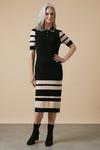 Wallis Striped Collar Knitted Dress thumbnail 1