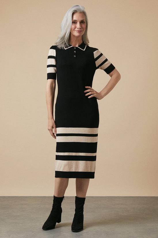 Wallis Striped Collar Knitted Dress 1