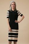 Wallis Striped Collar Knitted Dress thumbnail 2