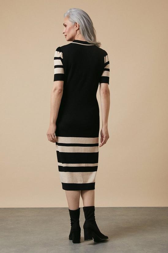 Wallis Striped Collar Knitted Dress 3