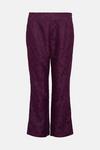 Wallis Petite Purple Lace Straight Leg Trousers thumbnail 5