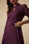 Wallis Lace High Neck Belted Midi Dress thumbnail 4
