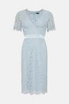 Wallis Glitter Lace Angel Sleeve Midi Dress thumbnail 5