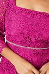Wallis Petite Lace Embellished Waist Midi Dress thumbnail 2
