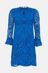 Wallis Premium Lace Shift Dress thumbnail 4