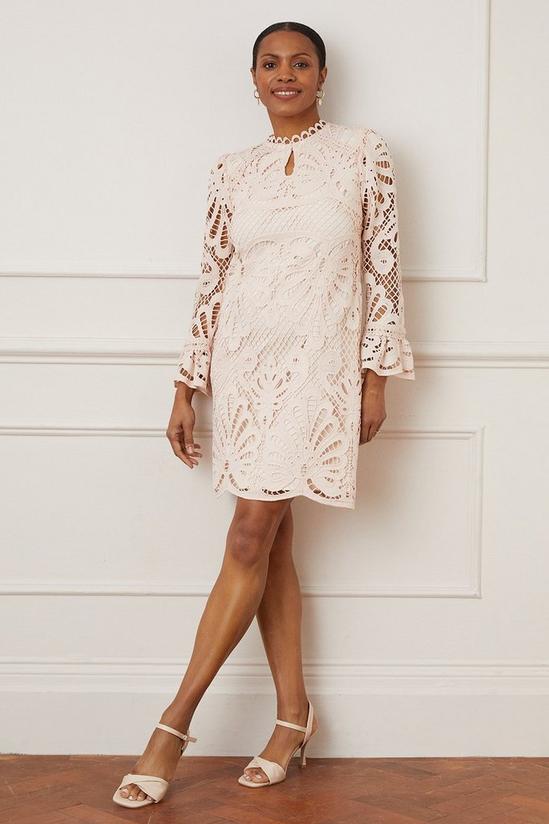 Wallis Premium Lace Shift Dress 2