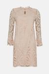 Wallis Premium Lace Shift Dress thumbnail 5