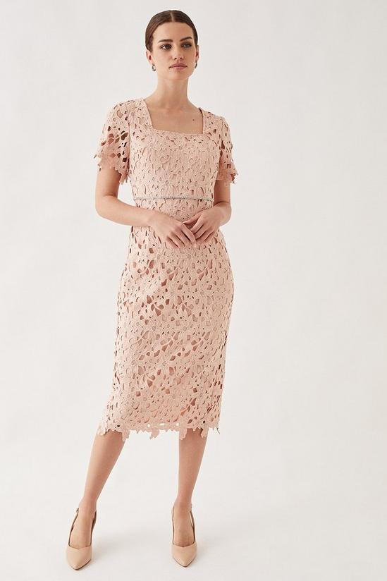 Wallis Petite Lace Embellished Waist Cap Sleeve Midi Dress 1