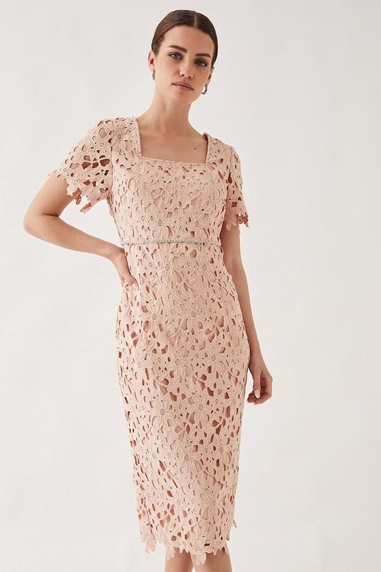 Wallis Petite Lace Embellished Waist Cap Sleeve Midi Dress 3
