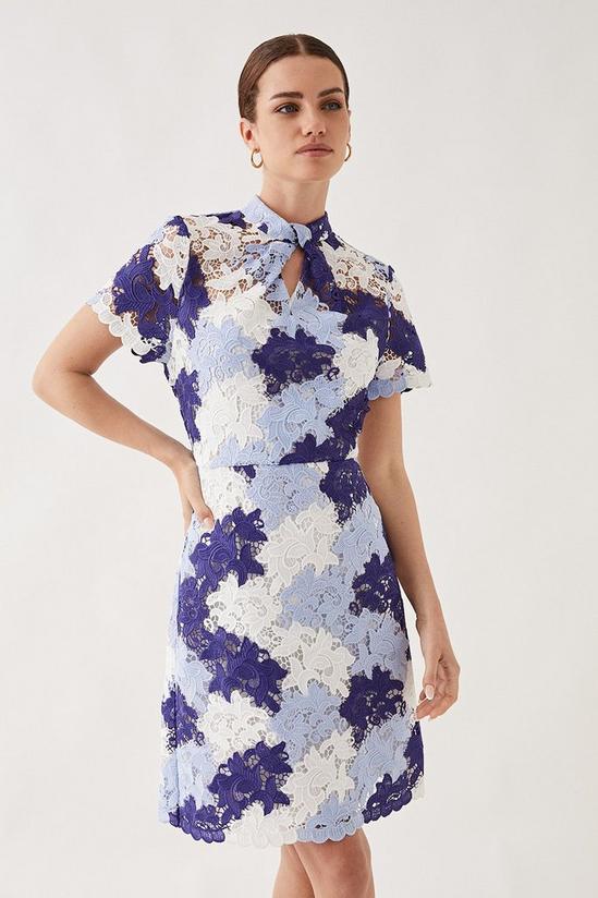 Wallis Petite Blue Floral Lace Shift Dress 1