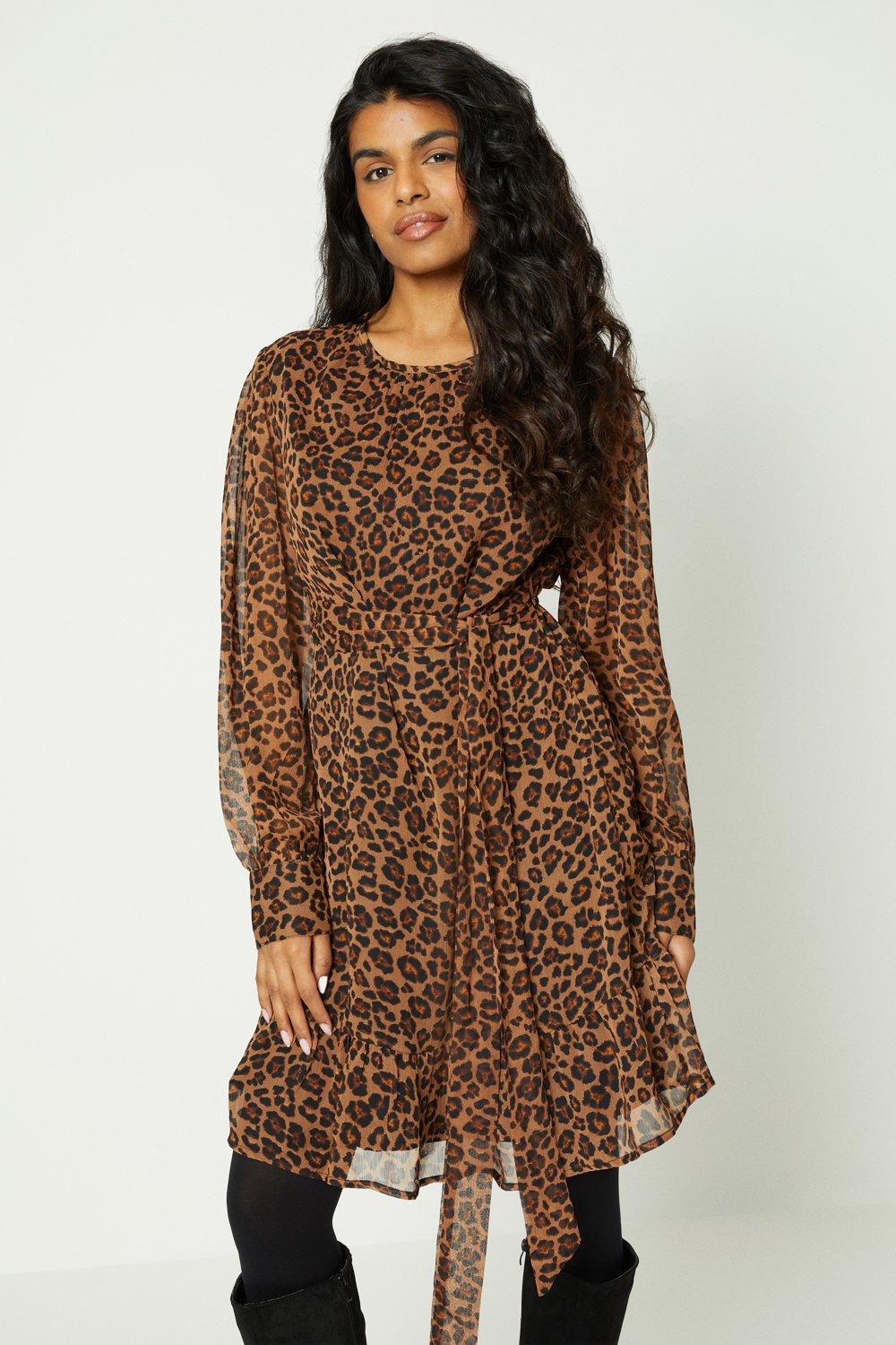 Wallis petite 2025 animal print dress