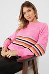 Principles Contrast Stripe Crew Neck Knitted Jumper thumbnail 5